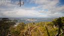 ./images/calvert/lookout/20220319/lookout20220319_115000M.jpg