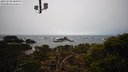 ./images/calvert/lookout/20220320/lookout20220320_081000M.jpg