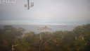 ./images/calvert/lookout/20220329/lookout20220329_081000M.jpg