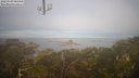./images/calvert/lookout/20220329/lookout20220329_081500M.jpg