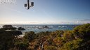 ./images/calvert/lookout/20220331/lookout20220331_155000M.jpg