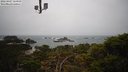 ./images/calvert/lookout/20220407/lookout20220407_115000M.jpg