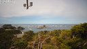 ./images/calvert/lookout/20220421/lookout20220421_121000M.jpg