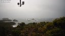 ./images/calvert/lookout/20220424/lookout20220424_091500M.jpg