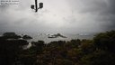 ./images/calvert/lookout/20220424/lookout20220424_162500M.jpg