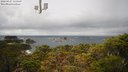./images/calvert/lookout/20220427/lookout20220427_115500M.jpg