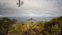 ./images/calvert/lookout/20220429/lookout20220429_084000M.jpg