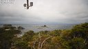 ./images/calvert/lookout/20220513/lookout20220513_104000M.jpg
