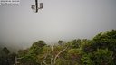 ./images/calvert/lookout/20220806/lookout20220806_100000M.jpg