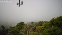 ./images/calvert/lookout/20220809/lookout20220809_120000M.jpg