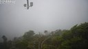 ./images/calvert/lookout/20220819/lookout20220819_080000M.jpg