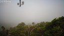 ./images/calvert/lookout/20220824/lookout20220824_080000M.jpg