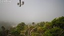 ./images/calvert/lookout/20220824/lookout20220824_120000M.jpg