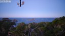 ./images/calvert/lookout/20221102/lookout20221102_080000M.jpg