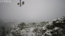 ./images/calvert/lookout/20221129/lookout20221129_120000M.jpg