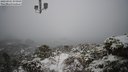 ./images/calvert/lookout/20230301/lookout20230301_080000M.jpg
