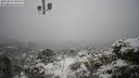 ./images/calvert/lookout/20230301/lookout20230301_100000M.jpg
