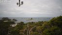 ./images/calvert/lookout/20230521/lookout20230521_120000M.jpg