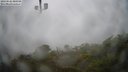 ./images/calvert/lookout/20230526/lookout20230526_080000M.jpg