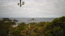 ./images/calvert/lookout/20230529/lookout20230529_080000M.jpg