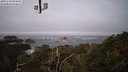 ./images/calvert/lookout/20231124/lookout20231124_073001M.jpg