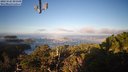 ./images/calvert/lookout/20231125/lookout20231125_091501M.jpg