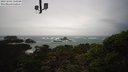 ./images/calvert/lookout/20231204/lookout20231204_110001M.jpg