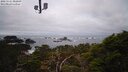 ./images/calvert/lookout/20250121/lookout20250121_082009M.jpg