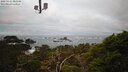 ./images/calvert/lookout/20250121/lookout20250121_083506M.jpg