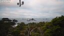 ./images/calvert/lookout/20250121/lookout20250121_090509M.jpg