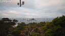 ./images/calvert/lookout/20250121/lookout20250121_091009M.jpg
