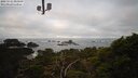 ./images/calvert/lookout/20250121/lookout20250121_093010M.jpg