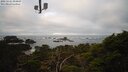 ./images/calvert/lookout/20250121/lookout20250121_094008M.jpg