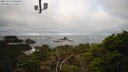 ./images/calvert/lookout/20250121/lookout20250121_100509M.jpg