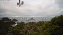 ./images/calvert/lookout/20250121/lookout20250121_101007M.jpg
