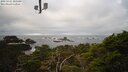 ./images/calvert/lookout/20250121/lookout20250121_101509M.jpg