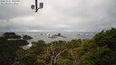 ./images/calvert/lookout/20250121/lookout20250121_102508M.jpg