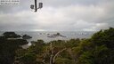 ./images/calvert/lookout/20250121/lookout20250121_105009M.jpg