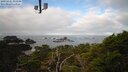 ./images/calvert/lookout/20250121/lookout20250121_111506M.jpg
