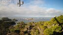 ./images/calvert/lookout/20250121/lookout20250121_113508M.jpg