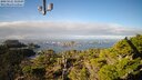./images/calvert/lookout/20250121/lookout20250121_115507M.jpg