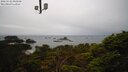 ./images/calvert/lookout/20250122/lookout20250122_085008M.jpg