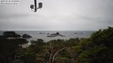 ./images/calvert/lookout/20250122/lookout20250122_151008M.jpg