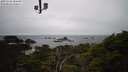 ./images/calvert/lookout/20250122/lookout20250122_151509M.jpg