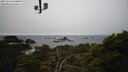 ./images/calvert/lookout/20250122/lookout20250122_155009M.jpg