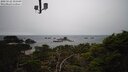 ./images/calvert/lookout/20250122/lookout20250122_155508M.jpg