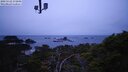 ./images/calvert/lookout/20250122/lookout20250122_172008M.jpg