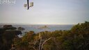 ./images/calvert/lookout/20250125/lookout20250125_085008M.jpg