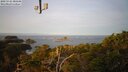 ./images/calvert/lookout/20250125/lookout20250125_085508M.jpg