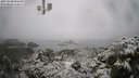 ./images/calvert/lookout/20250130/lookout20250130_092508M.jpg
